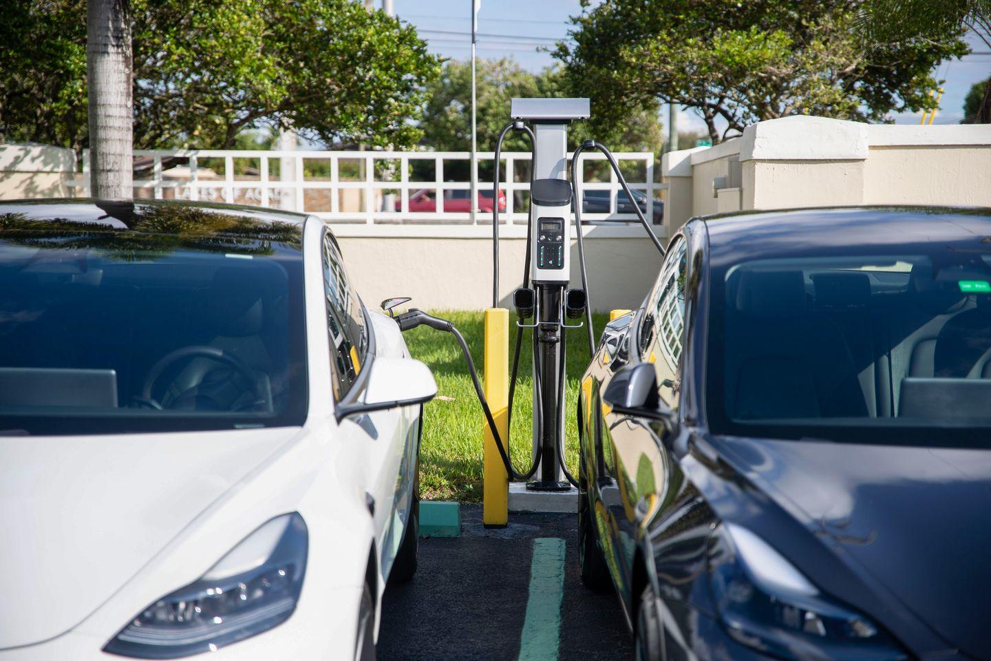 Two Electric vehicle car being charged by Blink charger