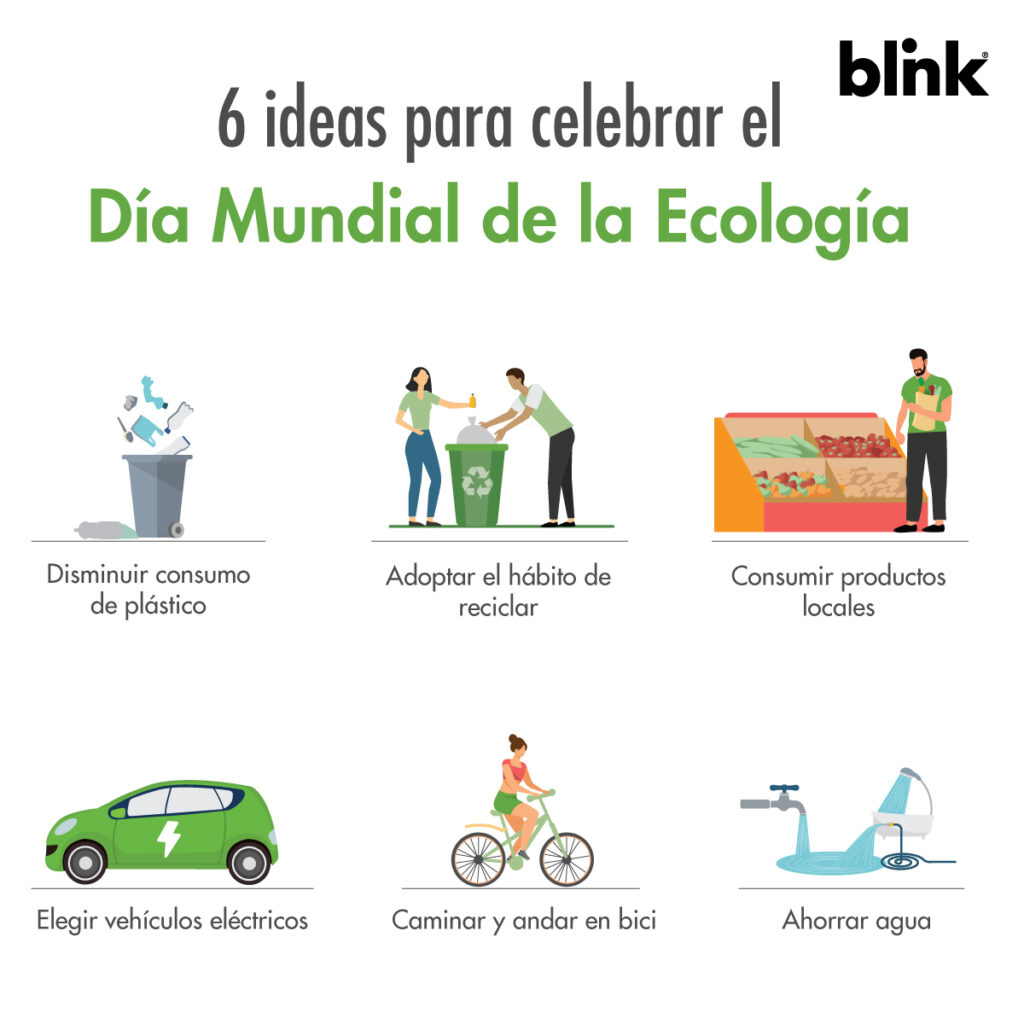 Ideas para celebrar el Día Mundial de la Ecología